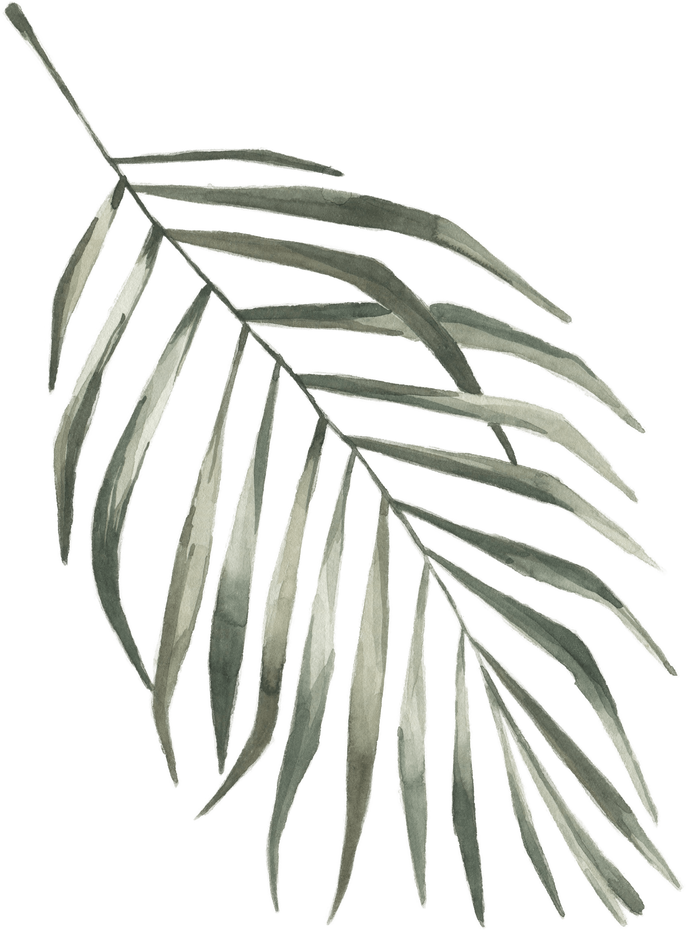 Modern oasis palm leaf