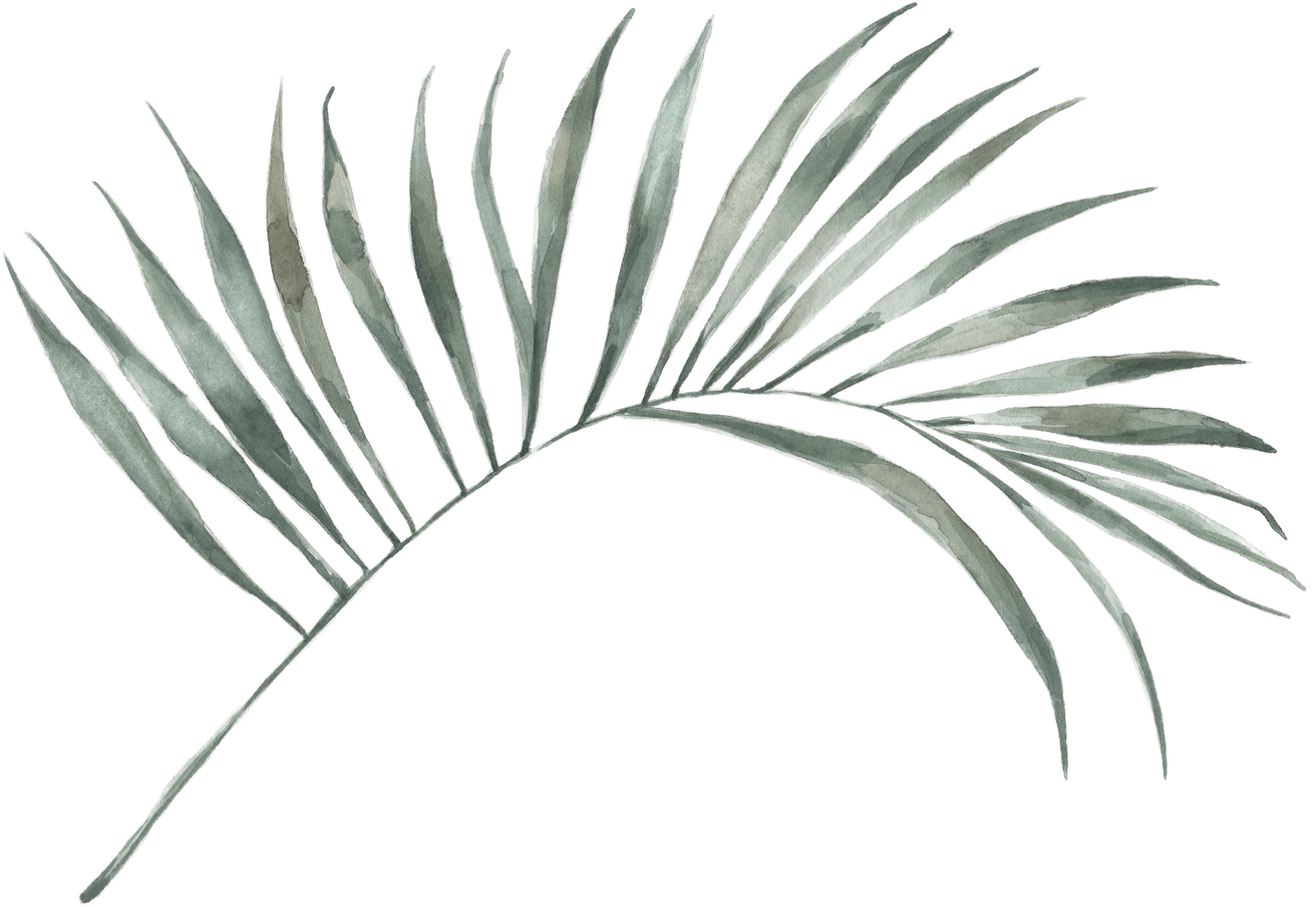 Modern oasis palm leaf