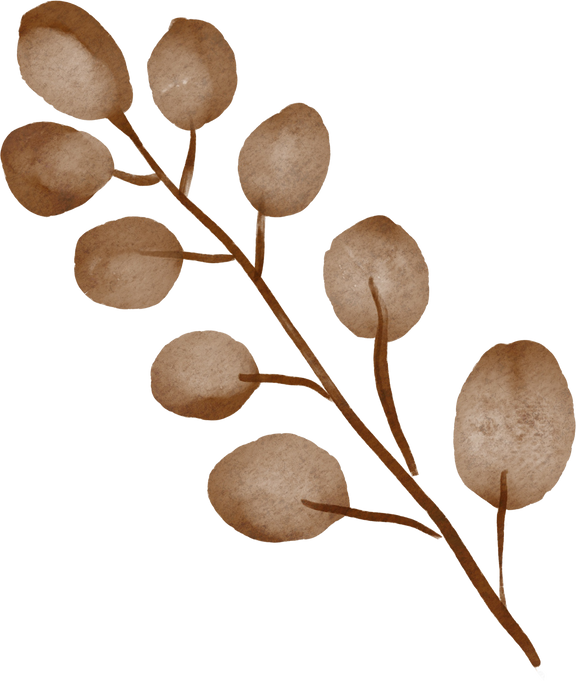 watercolor fall season leaf illustration